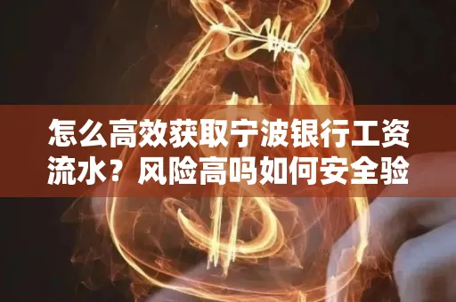 怎么高效获取宁波银行工资流水？风险高吗如何安全验证？