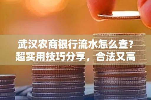 武汉农商银行流水怎么查？超实用技巧分享，合法又高效！