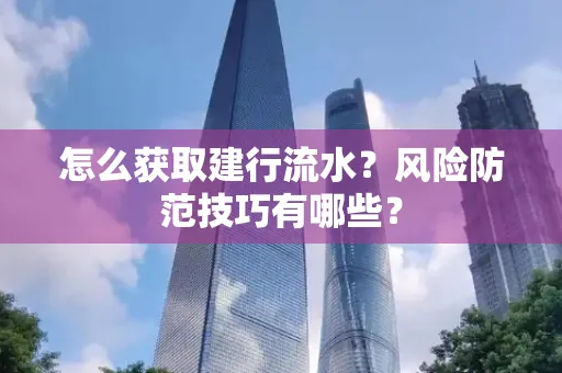 怎么获取建行流水？风险防范技巧有哪些？